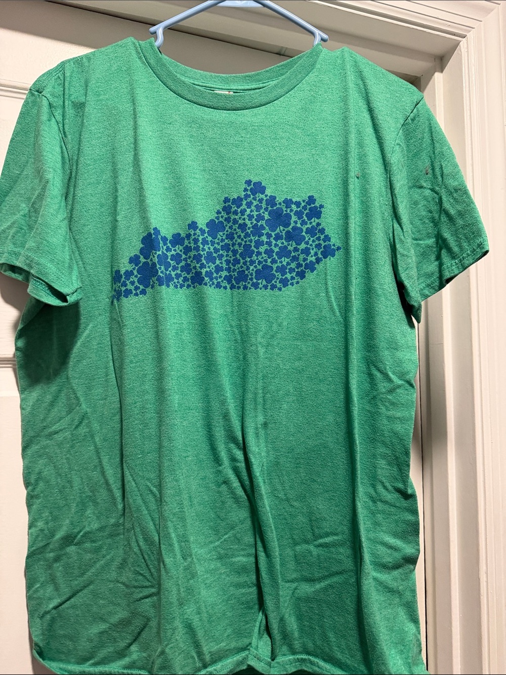 Anvil Green Tee with Blue Floral State Graphic